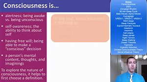 AP Psychology: States of Consciousness