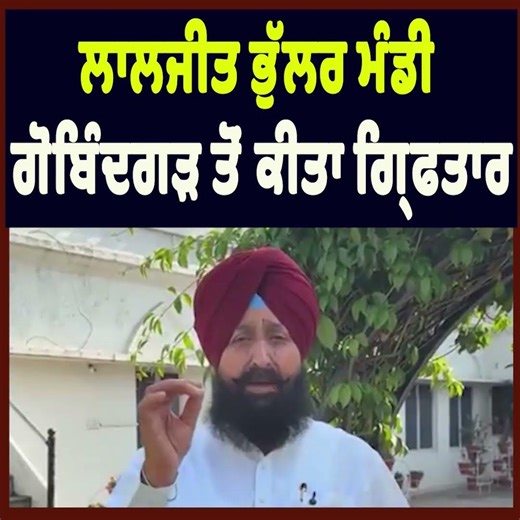 Pratap Bajwa Claims Laljit Bhullar Arrested from Mandi Gobindgarh | Punjab Political Update