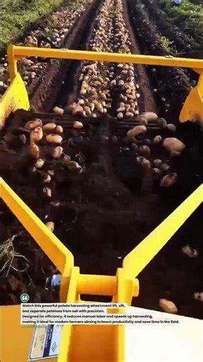 Efficient Potato Harvesting Tool in Action 🚜🥔 #FarmingTech #HarvestTime #AgriTools