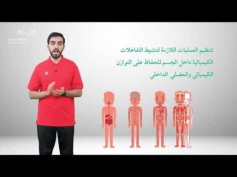 الصف الأول متوسط دور التغذية الصحية في تحسين الاداء الرياضي