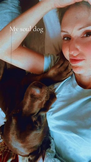 This boy 🖤 #dogslife #goodestboy #chocolatelab