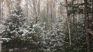 170K views · 2.8K shares | Checking in on the snow in the Adirondacks! | Adirondack.net | Facebook