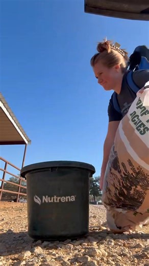 The glamorous life of a rodeo wife. 😁 Strong enough to hoist those Nutrena Feed and Top Of The Rockies Alfalfa Cubes sacks, and savvy enough not to drop any feed or the chore-boy baby while she’s at it. Thanks for holding down the fort, Jordan! #rodeolife #nutrenafeeds #roping #rodeohorse | Taylor Santos Rodeo