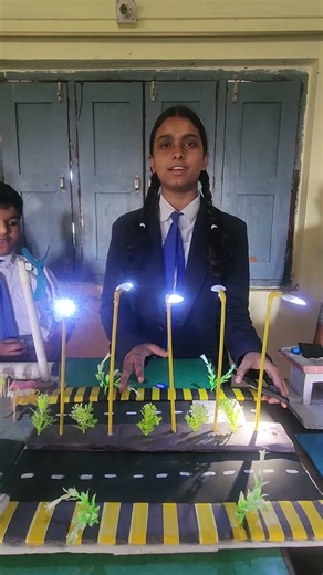 Solar Energy project model#Ananya