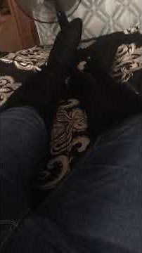 Girl strangled in over the knee boots