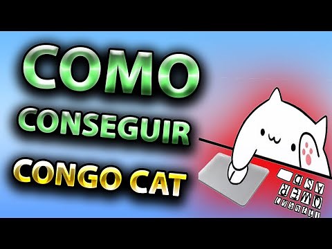 how to have bongocat for camera and obs (2023)