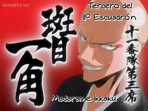 Bleach capítulo 41 sub español | Anime
