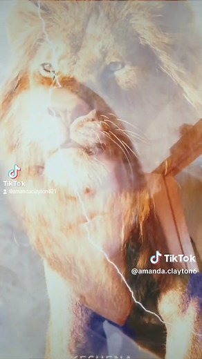 Amanda Clayton (@amanda.clayton6)’s videos with original sound - Amanda Clayton