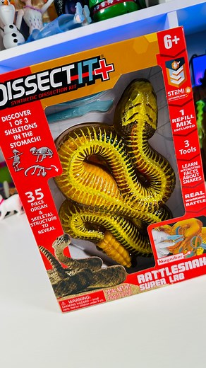 Dream Team’s World on Instagram: "Dissect It Rattlesnake Super Lab #dissectit #asmr #stem"