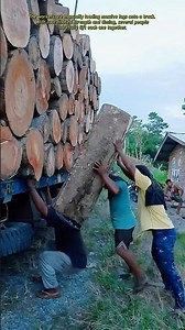Traditional Log Loading Lives On #wood #woodworking #work