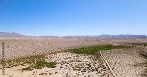 Ocotillo Plants Growing In The Desert In California, USA. - aerial shot