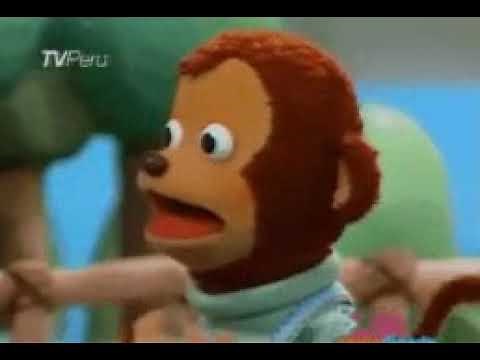 Surprised Monkey (MEME)