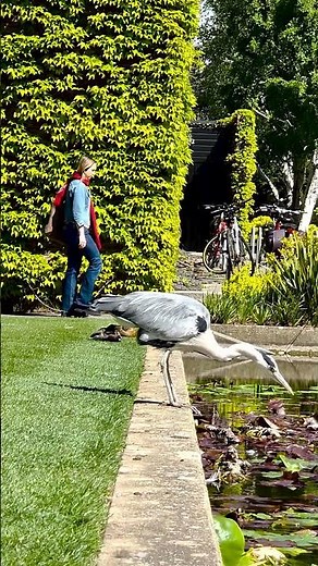 Welcome back to Easter term at Cambridge