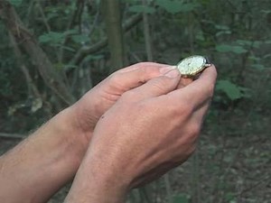 How To Make Your Watch Work As A Compass