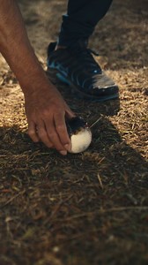 🔥 👀 | Easton Baseball