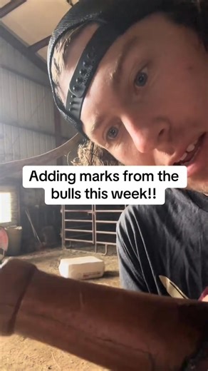 Building something I can pass on every mark every scratch is a memory #fyp #huntriven #elkhunting #elkcalling | Beau Brooks