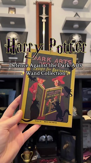 Harry Potter: Defense Against the Dark Arts Teachers