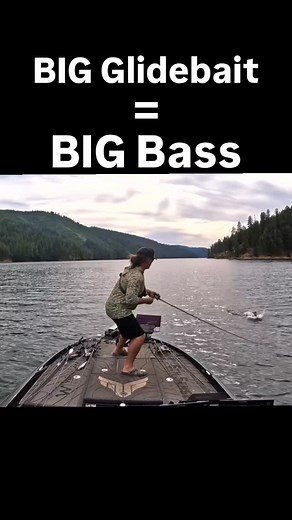 Ben Milliken on Instagram: "Does it get any more fun than this?? I slung my @6thsensefishing Draw to a group of Smallmouth and the biggest one wrecked it 💪🏻 it doesn’t matter where I travel in the country…if bass are eating big baitfish, I have the draw tied on! #bassfishing #fishing #swimbait"