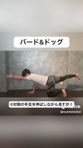 【バード＆ドッグ】 効果 ・体幹の安定性の獲得 ・肩甲帯の安定性の獲得 ・効率的な動きの獲得 サッカーに繋がるポイント ・当たり負けなくなる ・腕で相手を抑えやすくなる ・動き出しが速くなる ご質問はDMまでお待ちしております！ #サッカー #サッカートレーニング #フィジカルトレーニング #体幹トレーニング #パフォーマンスアップ