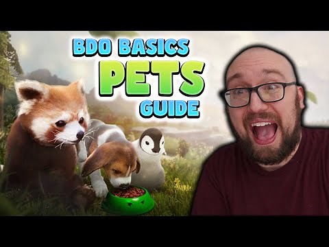 2024 Pets Guide for Black Desert Online | BDO Basics