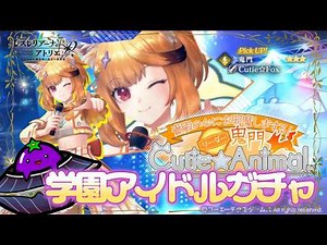 [Daily Resle Activities! Day 623] Resleli Academy Begins! A live stream where you can get the lea...