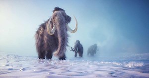 What Killed Off Giant Animals of the Ice Age?