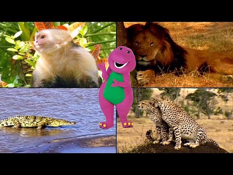 Barney's Island Tour - The Land of Make Believe - Interactive Game