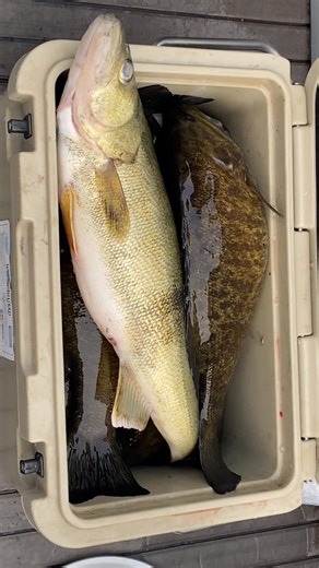 My Amish, friends, Nathan, and his dad catching bass Lakers and walleye | iFishLakeChamplain Charters