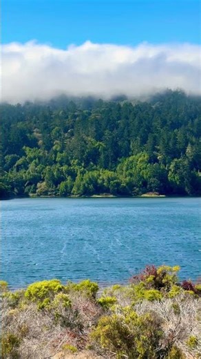 Layers of Calm 🌿💧☁️ | A Gentle Pause by the Lake #111