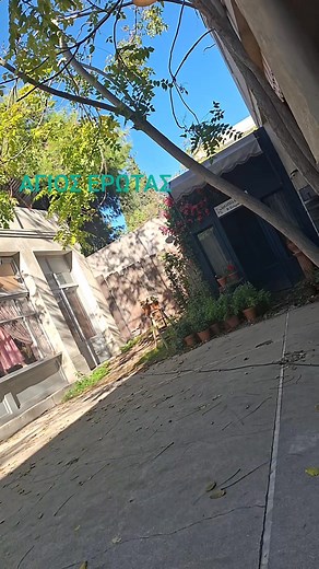 ΑΓΙΟΣ ΕΡΩΤΑΣ! | Ελενη Κονιδαρη