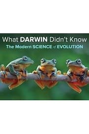 Watch What Darwin Didn't Know: The Modern Science of Evolution Season 1 Episode 24 - The Future of Human Evolution