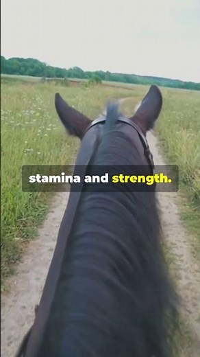 Epic Race Black Panther vs Cheetah vs puma vs `horse