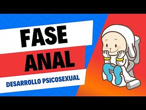 FASE ANAL. Desarrollo Psicosexual |Freud |