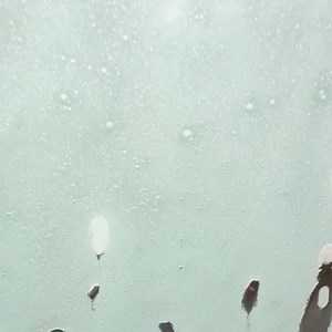 BREAKING: Get Your 1st Car Wash On The House! Unlock rewards, deals & more! Download the ZIPS App now and start saving! What's stopping you? | Zips Car Wash