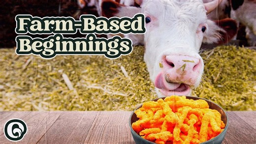 From military tech to junk food icon: The origin of Cheetos