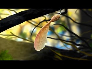 DTS Auro 3D Sound Test - Dolby Atmos