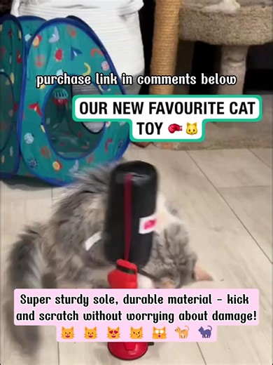 M140-2🐱Is your cat bored and lazy at home? 🐱 Try the interactive boxing toy - help your cat relieve stress, train reflexes and exercise every day! Super sturdy base, durable material - let it hit, kick, scratch without worrying about damage! 💪 Purchase link: https://www.buzzbuy.site/dambocchomeo | Warehouse ng Sambahay