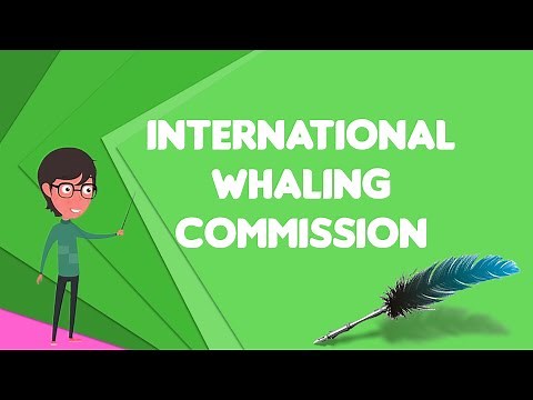 What is International Whaling Commission?, Explain International Whaling Commission