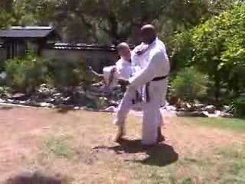 INSIDE THE ART OF OKINAWAN GOJU with Teruo Chinen: Kihon