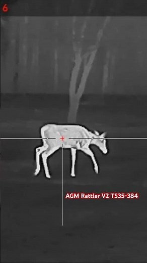 AGM Rattler V2 TS35-384