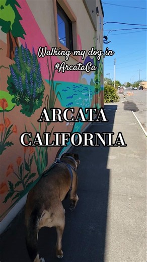 What does Arcata California look like? 🫶