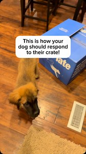 47K views · 3K reactions | We’ve had Captain Crunch for 11 days now....