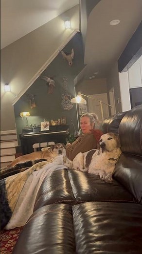 I love them more than they love me #dogsofyoutube #dogs #countrymusic #puppy