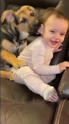 The Greatest Duo! 🐶👶 #funny #babies #dogs #reactions #babiesandpuppies
