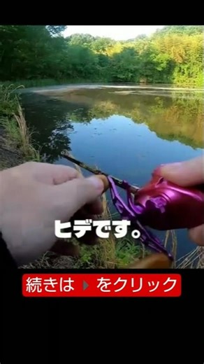 暑くなったけど少しだけ釣り♪ #バス釣り #バスフィッシング#夏のバス釣り