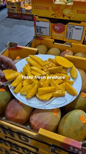Have you ever wondered how WA's fresh produce market works? 🤔 Then why not take a tour of Perth Markets!💡 At Perth Markets, we love to share our passion for fresh produce and teach you about the valuable role we play in the state's fresh food supply chain. Perth Markets directly accepts tours from school groups, interested buyers, industry peers, and more. Send us a DM or give us a call on (08) 9456 9200 for more information. And if you're a local foodie looking for something extra, why not jo