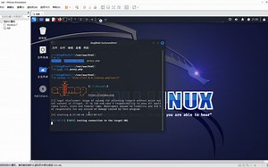 sqlmap解决无法建立SSL连接问题(Unable to establish SSL connection.)