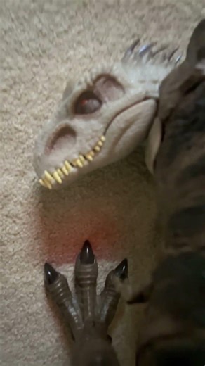 Tyrannosaurus rex vs indominus Rex