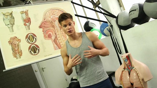 alpha Lernen | Biologie: Atmungsorgane