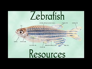 AALAS Zebrafish Resources